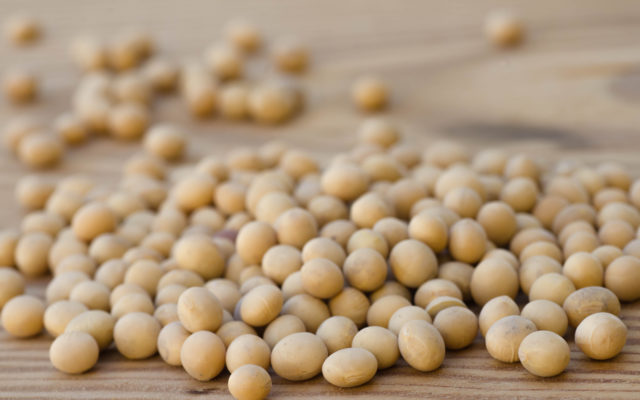 NSM’s Midwest Crop Tour gives buyers up close look at soy quality