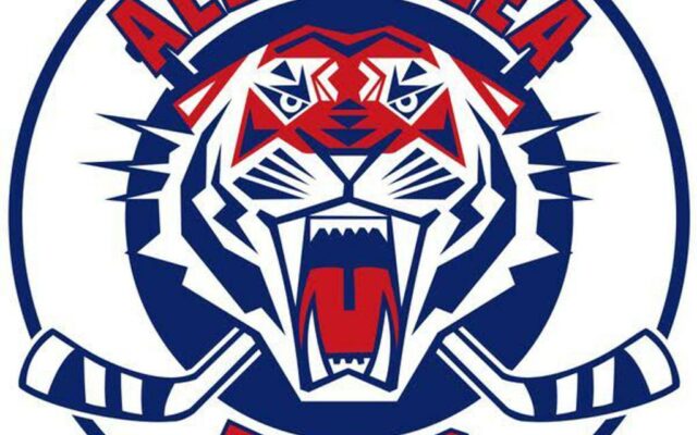 Tiger Hockey Teams both post Shutouts on Saturday