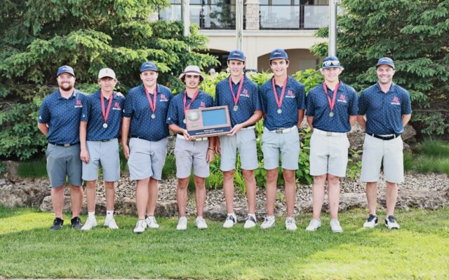 Albert Lea Boys Golf takes 2nd at Section 1AAA Meet